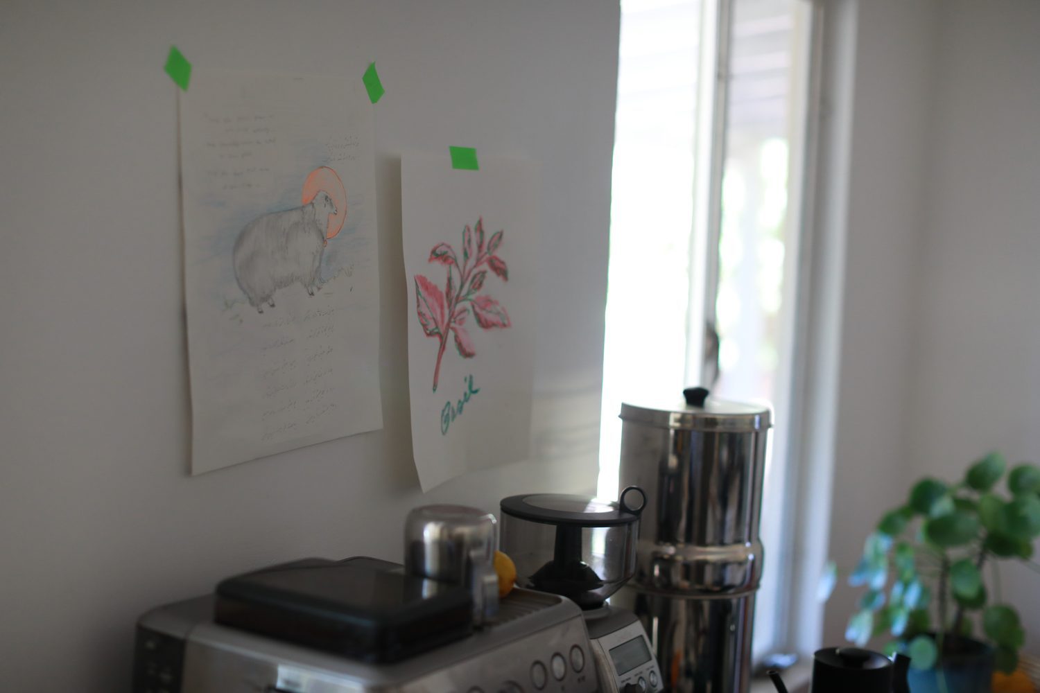 Coffee Corner — photograph by Rosha Motti